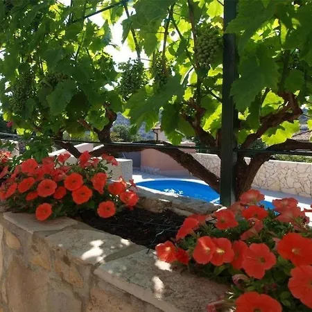 Pool Near Sea Holiday home